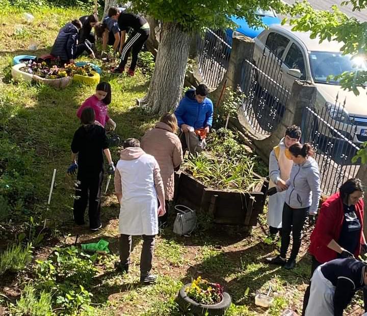 Elevii Școlii nr. 18 au plantat flori alături de tinerii de la „Esperando”