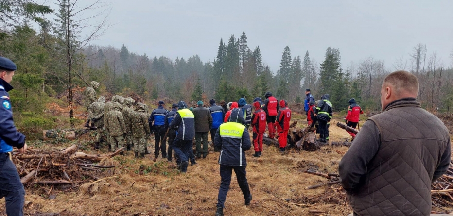 Acțiune de împădurire în Poiana lui Dumitru