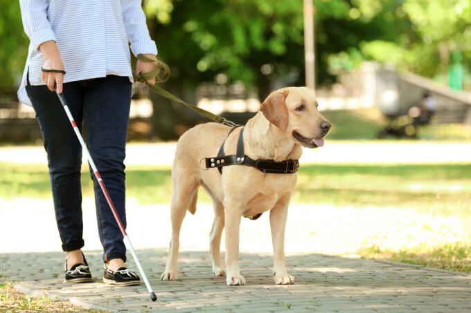 Noi drepturi pentru persoanele cu dizabilități