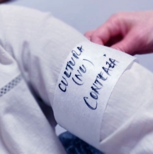 Grevă japoneză în muzeele din Baia Mare