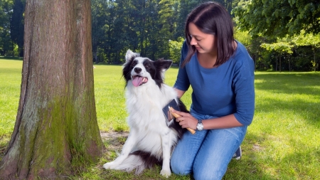 Temperaturile calde aduc căpușele printre oameni și animalele de companie