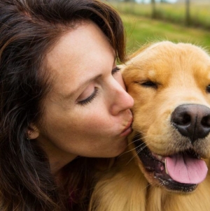 Noi reguli pentru proprietarii de câini