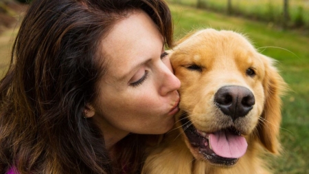 Noi reguli pentru proprietarii de câini