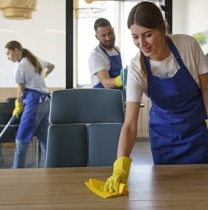 Persoanele fizice vor putea plăti legal personal pentru activitățile casnice