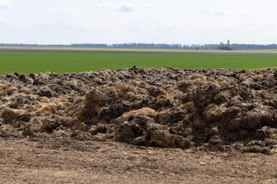 Ghid de finanțare pentru investițiile în producția de compost