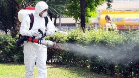 Operațiune de amploare în Baia Mare: tratamente terestre împotriva insectelor periculoase