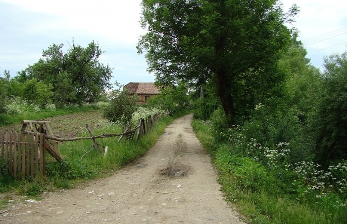 Încep lucrările la rețeaua de gaz la Coroieni. Contractul de execuție a lucrărilor a fost semnat