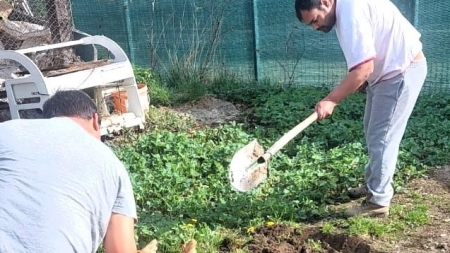 Activități de grădinărit cu beneficiarii DGASPC Maramureș