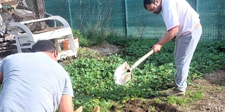 Activități de grădinărit cu beneficiarii DGASPC Maramureș