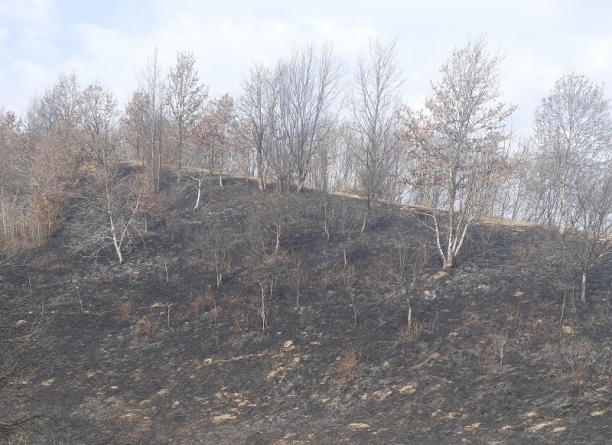 Garda de Mediu, ISU și APIA, controale în județ. Sunt vizate arderile de vegetație uscată