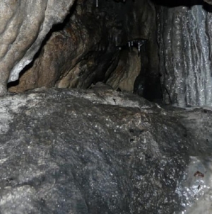 Enigmatica Peșteră cu oase de la Poiana Botizii