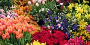 Luna mai, luna florilor