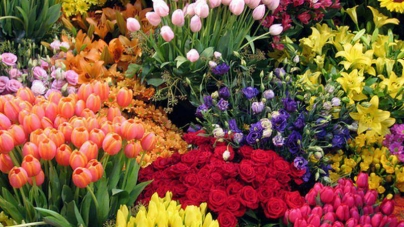 Luna mai, luna florilor