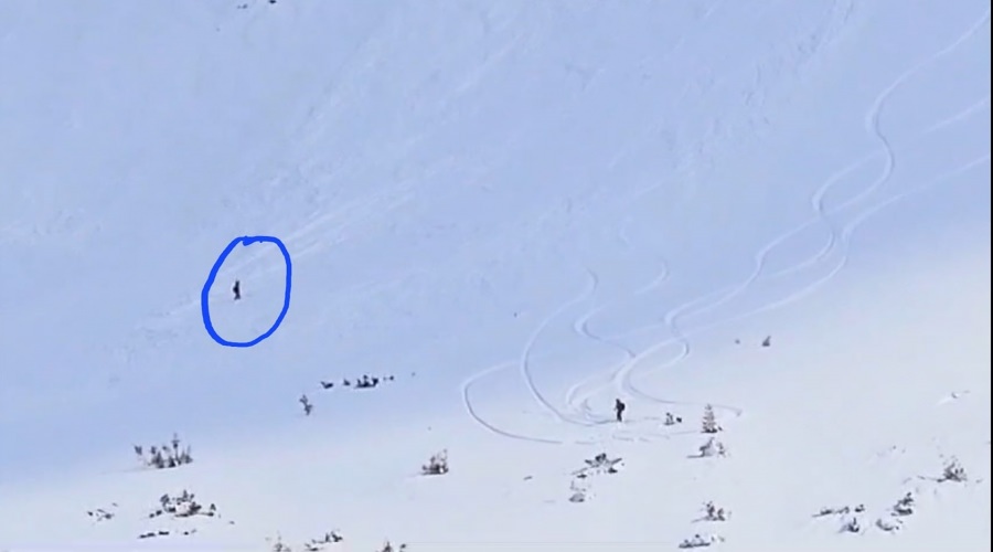 Surprins de o avalanșă în Munții Rodnei, un schior a reușit să se salveze în ultima clipă