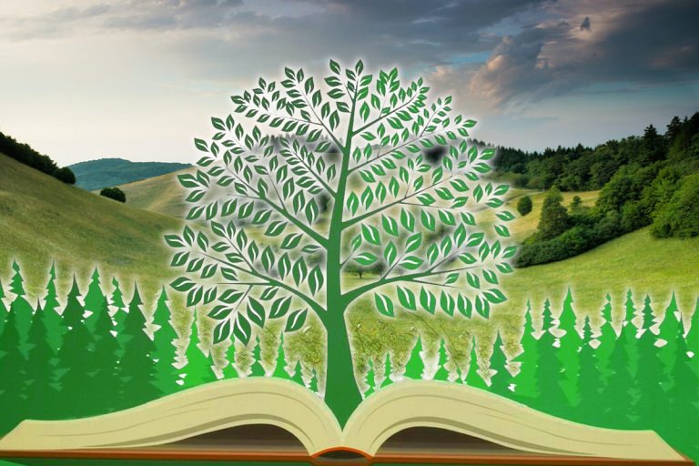 Școlile vor primi bani pentru activitățile din Programul Național „Săptămâna verde”!