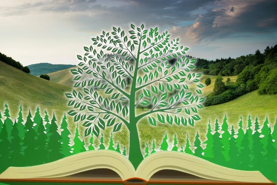 Școlile vor primi bani pentru activitățile din Programul Național „Săptămâna verde”!