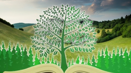 Școlile vor primi bani pentru activitățile din Programul Național „Săptămâna verde”!