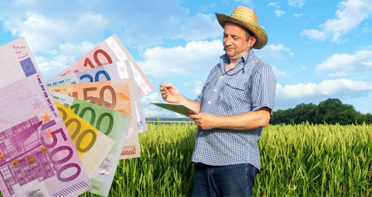 Important pentru agricultori: la APIA se pot depune cereri de plată pentru anul 2024