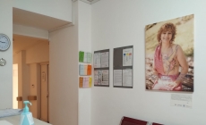 Donație de suflet pentru Spitalul Județean din Baia Mare. Colecție de tablouri cu povești de viață
