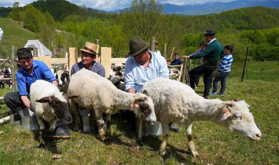 În Strâmtura va avea loc evenimentul „Ruptul Sterpelor”