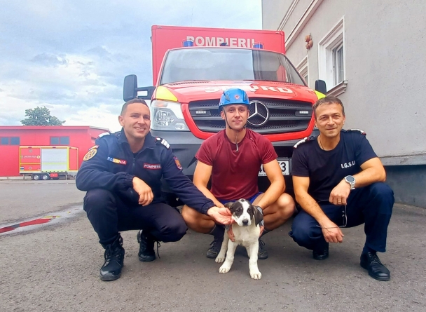 Aqua – cățelușa salvată din albia răului Săsar a fost adoptată