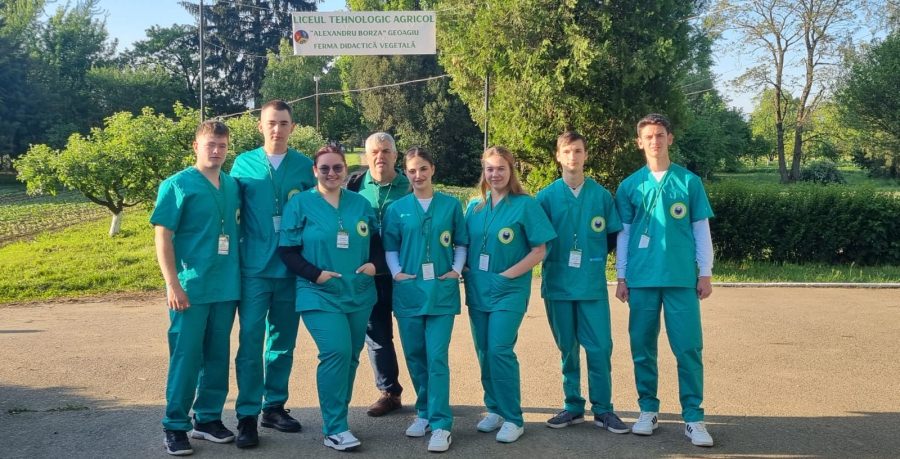 Rezultate remarcabile obținute de elevii din județul Maramureș la etapele naționale ale Olimpiadelor la disciplinele din aria curriculară Tehnologii