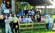 Elevii de la Școala „Dimitrie Cantemir” au realizat o grădină verticală din plante aromatice și flori la Muzeul Satului din Baia Mare