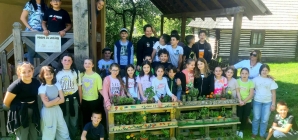 Elevii de la Școala „Dimitrie Cantemir” au realizat o grădină verticală din plante aromatice și flori la Muzeul Satului din Baia Mare