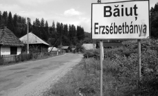 A fost filmat un urs la intrarea în localitatea Băiuț