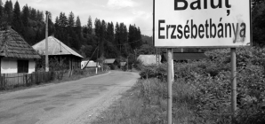 A fost filmat un urs la intrarea în localitatea Băiuț