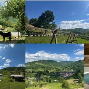 Asociația „Energia Mișcării” pregătește o nouă aventură pentru copii și adulți