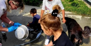 Mici voluntari au dat o mână de ajutor la Adăpostul de câini Baia Mare