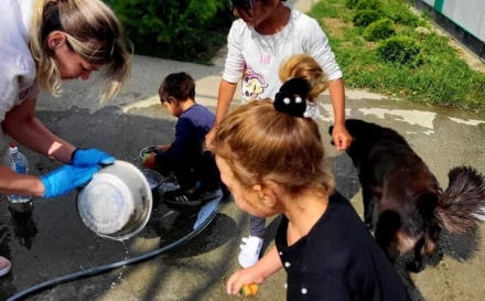 Mici voluntari au dat o mână de ajutor la Adăpostul de câini Baia Mare