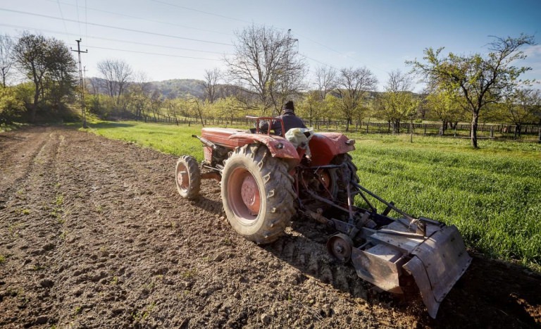 Ajutor financiar de la stat pentru producătorii agricoli