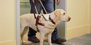 Câinii ghizi ai persoanelor cu dizabilități au acces în toate spațiile publice