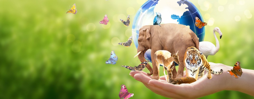 Într-o zi de 22 mai se sărbătorește mondial biodiversitatea