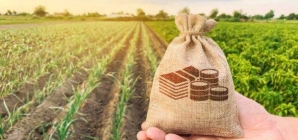 7 iunie, termenul limită de depunere a cererii de plată, de către fermieri