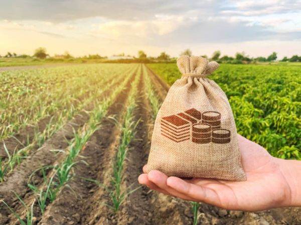 7 iunie, termenul limită de depunere a cererii de plată, de către fermieri