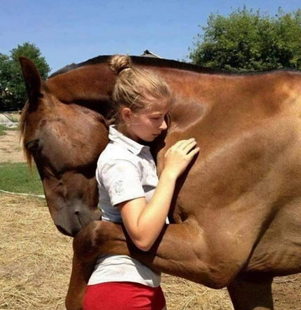 Legătura sacră dintre om și cal