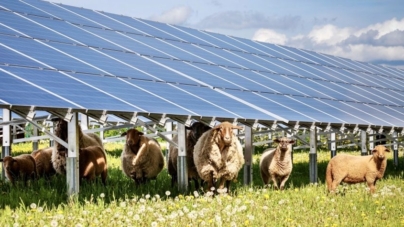 Modificări la proiectul instalării de panouri fotovoltaice în ferme, cu bani europeni