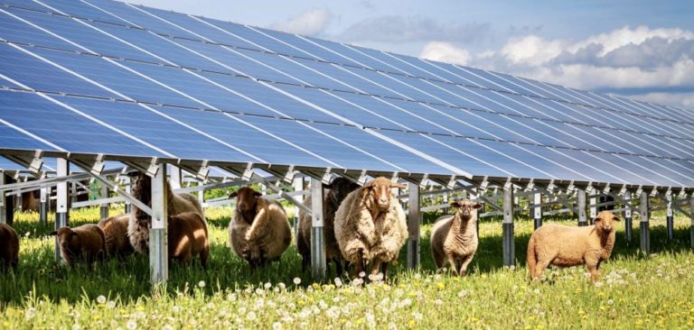 Modificări la proiectul instalării de panouri fotovoltaice în ferme, cu bani europeni