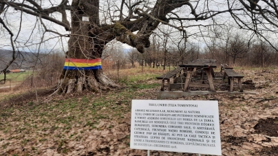 Teiul de la Băsești, o destinație de vacanță cu iz de istorie