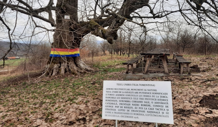 Teiul de la Băsești, o destinație de vacanță cu iz de istorie