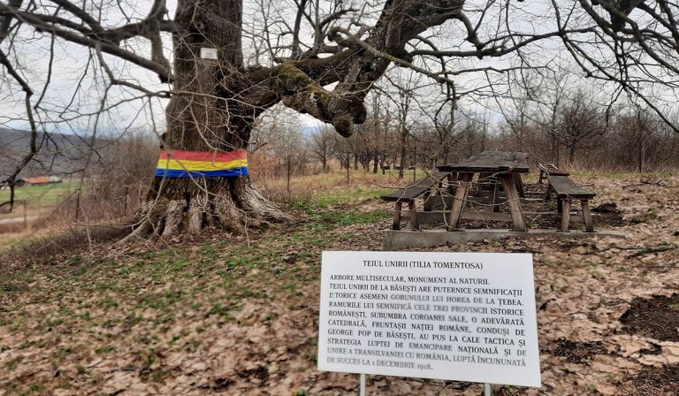 Teiul de la Băsești, o destinație de vacanță cu iz de istorie