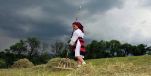 Strânsul fânului, un vechi ritual în Maramureș