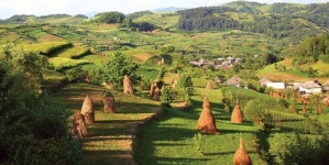 „Maramureș – Țara celor 4 țări”: Concurs de fotografie pentru elevii de gimnaziu