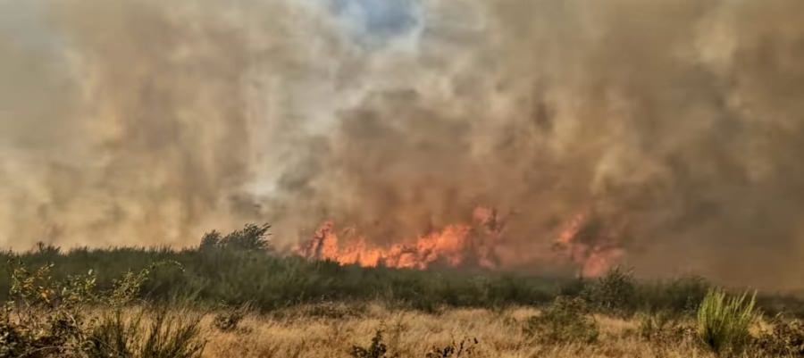 75 de pompieri se luptă în aceste momente cu flăcările în Lăpușel, Coltău și Arieșu de Pădure