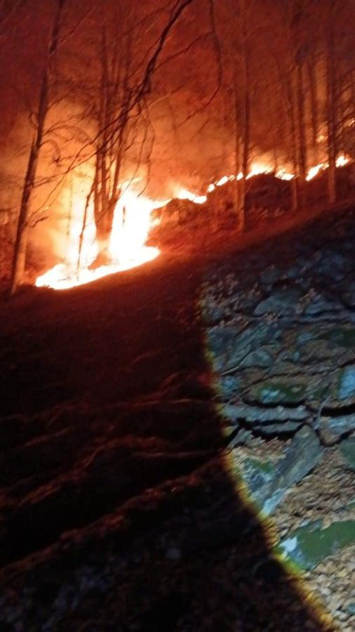Incendiu în zona Vârfului Șatra; Se manifestă la nivelul vegetației uscate și litierei pădurii