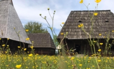 Expoziția „EA. Chipuri ale feminătății: punți între Maramureș și Africa tradițională” va fi vernisată la Muzeul Etnografic al Maramureșului „Francisc Nistor” Sighetu Marmației