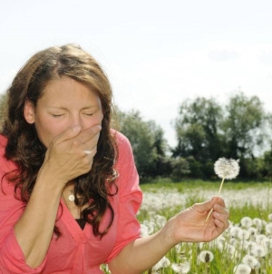 Strănuți și ai nasul înfundat? Poate fi alergie, nu răceală